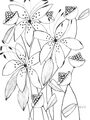Image Not Available